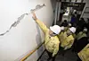 테스트