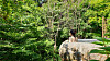 A visitor enjoys the view of the forest surrounding a stone jacuzzi at Restree Resom, a newly opened resort in Jecheon, North Chungcheong. [LIETTO]