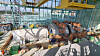 A 406-megawatt steam turbine generator installed at SK gas' Ulsan GPS power plant is currently under construction. [SK GAS]