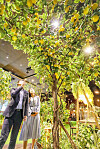 Visitors to Pangyo Healing Park in Hyundai Department Store's Pangyo branch in Gyeonggi look at trees on Thursday. To celebrate the month of May, known as 'family month' in Korea, the department store has opened the park on its 10th floor. [YONHAP]