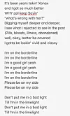 Lyrics from Sunmi's 'Boderline.' [SCREEN CAPTURE]