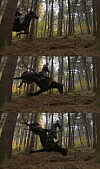 This scene from KBS's “The King of Tears, Lee Bang-won” shows the horse tripping after staff pulled on wires that were tied to its front two feet. [SCREEN CAPTURE]