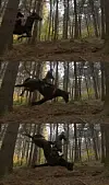 This scene from KBS's “The King of Tears, Lee Bang-won” shows the horse tripping after staff pulled on wires that were tied to its front two feet. [SCREEN CAPTURE]