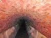 테스트