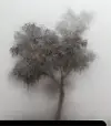 테스트