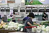 A consumer shops for Napa cabbage in the fresh produce section of a grocery store in Daegu on Tuesday. Napa cabbage prices rose 72 percent year-on-year. [YONHAP]