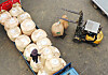 A worker unloads harvested rice from a truck at the Rice Processing Complex in Hwaseong, Gyeonggi, on Thursday. [YONHAP]