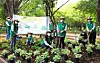 Starbucks baristas pose for a photo after planting trees and plants at a 300-pyeong (992-square-meter) space in Seoul Forest in Seongsu-dong, eastern Seoul, on Oct. 5. The company held a ″Cup a Tree″ event in April, promising to create a garden and forest area of 1 pyeong for every 10 photos posted with the hashtag #CupATree. [STARBUCKS COFFEE KOREA]