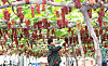 This is grape: Daejeon harvests year's first Delaware grapes