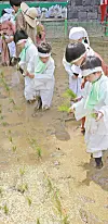 테스트
