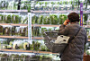 Prices of vegetables remain high due to the extended cold spell. A photo above shows a vegetable stand at a supermarket in Seoul on Monday. [YONHAP]