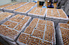 Eggs at the Gyerim Farm in North Chungcheong on March 17 [YONHAP]