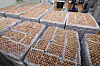 Eggs at the Gyerim Farm in North Chungcheong on March 17 [YONHAP]