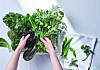 The new book 'Salad' by chef Kim Eun-hee of The Green Table details the very basics of making a salad at home. [TASTY COOKBOOK]