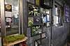 A restaurant in Mapo District, western Seoul, is decorated with demilitarized zone-sourced plants and barbed wire on May 9. [MINISTRY OF UNIFICATION]