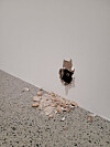 ″The End″ (2020) by artist Ryan Gander [MOON SO-YOUNG]