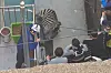 Sero the zebra goes down after taking six tranquilizer shots in the streets of a residential area. [YONHAP]