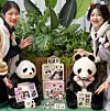 A pop-up store for Everland's most popular panda, Fu Bao, will open on Nov. 9 at The Hyundai Seoul department store in Yeongdeungpo District, western Seoul. [EVERLAND]