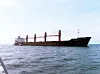 테스트