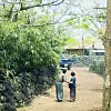 A scene from the Netflix series ″When Life Gives You Tangerines″ episode 10, which was shot in Jeju Stone Park [NETFLIX]