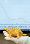 테스트