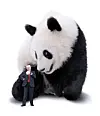 테스트