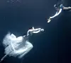 테스트