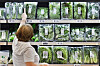 A shopper selects a pack of salad leaves at a market in downtown Seoul on Monday. [YONHAP]