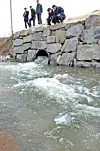 테스트