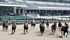 Horses race around the track in Gwacheong, Gyeonggi, on Sunday, four months after horse-racing was temporarily suspended because of the Covid-19 outbreak. Racing has now resumed, but without fans in the stands. [NEWS1]