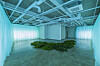 ″Le sol_soil″ by Park So-hee, middle, and ″Courtyard″ by Park Ki-won, as part of the ″When All Scenes are in Harmony″ exhibition at Project Space Line. [PROJECT SPACE LINE]