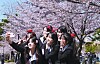 Students at Pukyong National University in Nam District, Busan, take photos dressed up in their high school uniforms as a fun ritual for April Fools' Day on April 1. [JOONGANG ILBO]