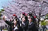 Students at Pukyong National University in Nam District, Busan, take photos dressed up in their high school uniforms as a fun ritual for April Fools' Day on April 1. [JOONGANG ILBO]