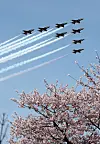 The Korean Air Force’s Black Eagles aerobatic team soars over Mapo Bridge in Mapo District, western Seoul, for an air show celebrating the Yeongdeungpo Yeouido Spring Flower Festival on March 30, with cherry blossom season in bloom. The annual cherry blossom festival kicked off on March 26 and ran through March 30. [NEWS1]