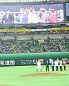 테스트