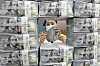 A staffer organizes U.S. dollars at KEB Hana Bank's main branch in Jung District, central Seoul, earlier this month. [YONHAP]