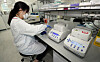 A researcher at the Korean Vaccine Research and Development Center for Public Vaccines in Cheongju, North Chungcheong, in December testing the effect of SK Bioscience Covid-19 vaccine. It is the first to be tested after finishing phase 3 clinical trial. [YONHAP]