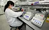 A researcher at the Korean Vaccine Research and Development Center for Public Vaccines in Cheongju, North Chungcheong, in December testing the effect of SK Bioscience Covid-19 vaccine. It is the first to be tested after finishing phase 3 clinical trial. [YONHAP]