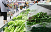 Leafy greens are displayed on the refrigerated shelves of a discount store in Seoul Sunday. The continued heavy rain in Korea is pushing vegetable prices up. The wholesale price of leafy greens, such as cabbage, lettuce and spinach, spiked by 60 to 107 percent compared to last month, according to the Korea Agro-Fisheries & Food Trade Corporation on Aug. 6. [YONHAP]