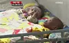 테스트