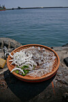 Raw squid hoe at pocha (outdoor food tent) street in front of the Dongmyeong Port in Sokcho, Gangwon. [JOONGANG ILBO]