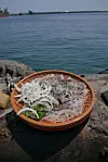Raw squid hoe at pocha (outdoor food tent) street in front of the Dongmyeong Port in Sokcho, Gangwon. [JOONGANG ILBO]