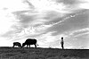 A photo by documentary photographer Lim In-sik, whose works are on display at the exhibit 'Life Goes On' at Leica store in Cheongdam-dong, southern Seoul. [LIM IN-SIK]