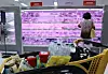A shopper in front of the meat section at a discount mart in Seoul on Thursday. While the consumer price was flat in June, meat prices went up thanks to the emergency relief grant. Pork prices were up more than 16 percent while Korean beef went up 10 percent. [YONHAP]