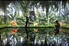 Discovery Naturescape in Hwaseong, Gyeonggi has three concepts implementing various natural landscapes. [KIM KYUNG-BIN]