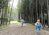 테스트