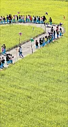 테스트