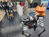 A four-legged robot developed by Young In Mobility carries a fire extinguisher at the company's booth at the International Fire & Safety Expo Korea 2023 in Daegu on Wednesday. [YONHAP]