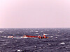 Korea Coast Guard officials and rescuers carry out a search and rescue mission to save the crew of a fishing vessel that capsized 120 kilometers (74 miles) off the coast of Pohang, North Gyeongsang on Sunday. [NEWS1]