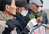 Members of KOA, Korea's national association of onion and garlic farmers, are pictured with onion seedlings in front of the headquarters of the National Agricultural Cooperative Federation in Seodaemun District, western Seoul, on Wednesday.